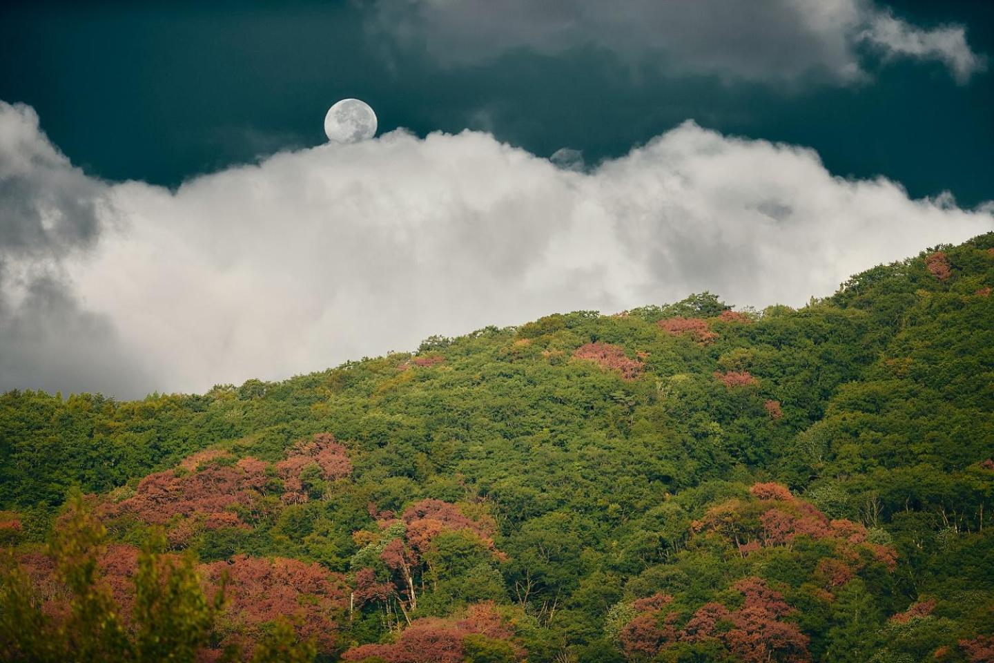 Lodge Yamajiu Hakuba Luaran gambar